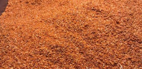 mẻ t&eacute;p sấy 